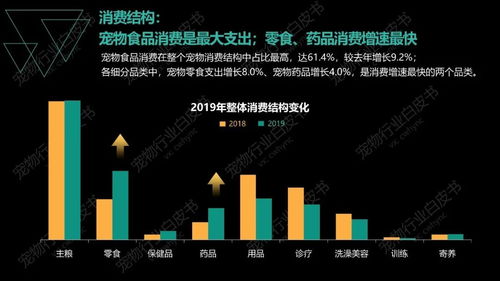 宠物用品销量超母婴品牌，市场变迁背后的消费趋势