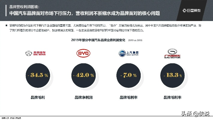 中国汽车行业的蓬勃发展与品牌多样性