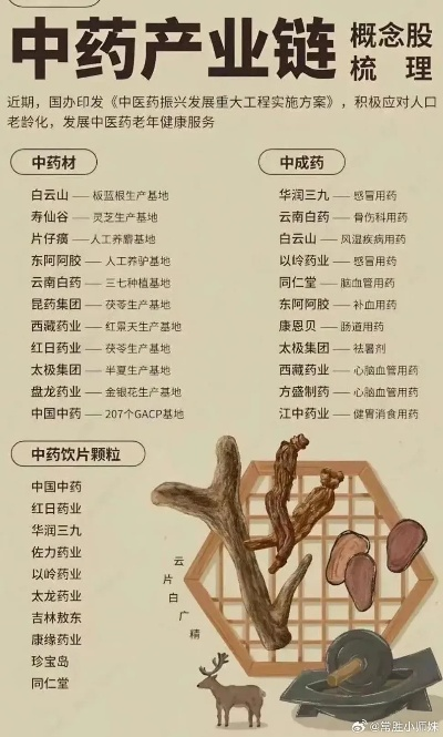 探索纪实中医药品牌的力量与影响