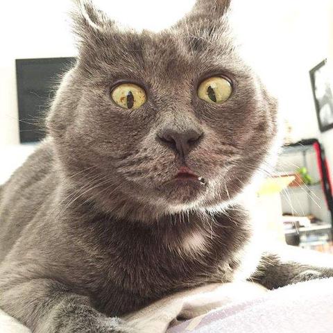 揭秘微信聊天记录的秘密，如何查看别人以前的聊天记录？
