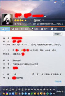 揭秘QQ好友聊天秘密，如何查看谁在聊天及聊天记录