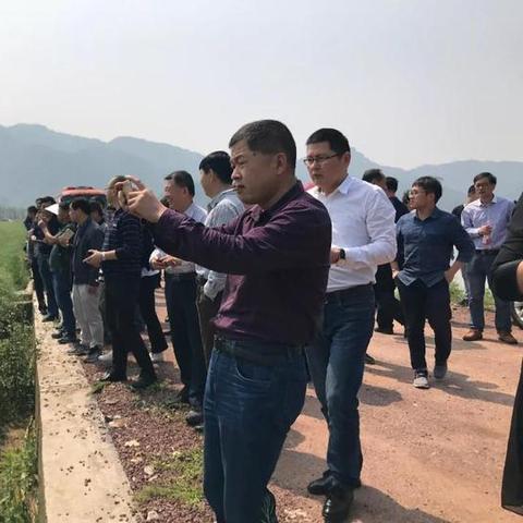 新能源汽车品牌高合，创新引领，绿色出行