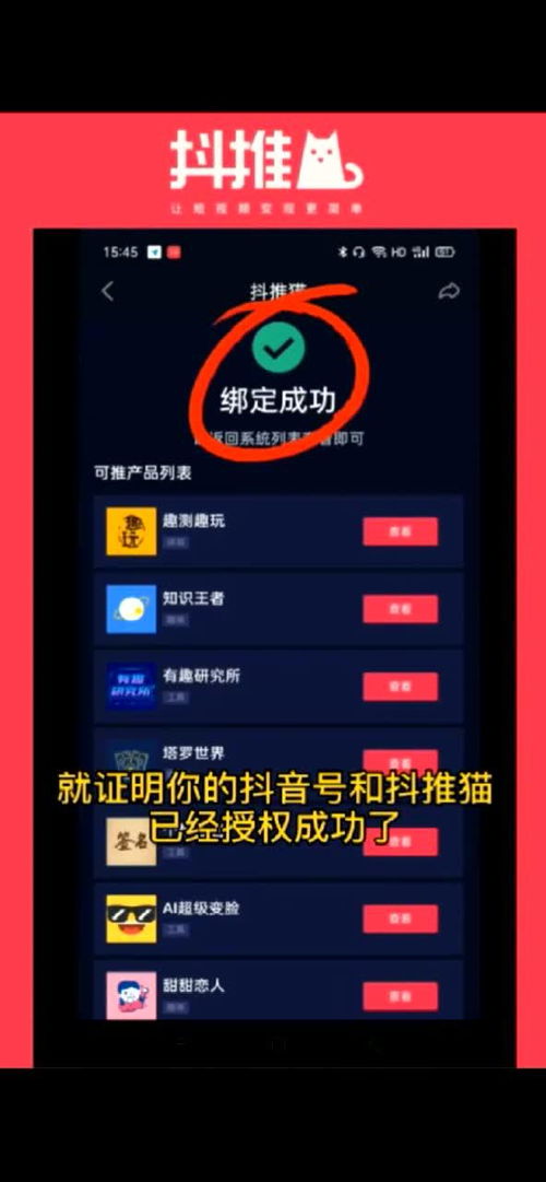 揭秘抖音月付提现平台，这些是你不知道的选择！