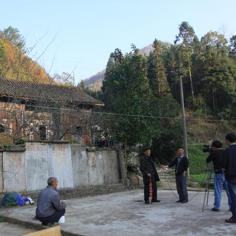 贵定云雾品牌厂家电话与服务介绍