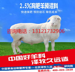 抚顺刷羊小咩便荔卡提现，速度揭秘！多久能到账？