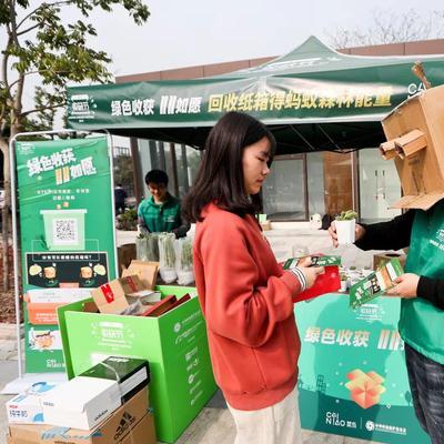 杭州家电纸箱品牌选择指南