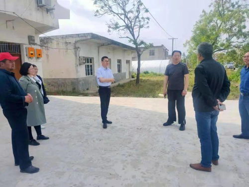 费特医药品牌管理策略全解析