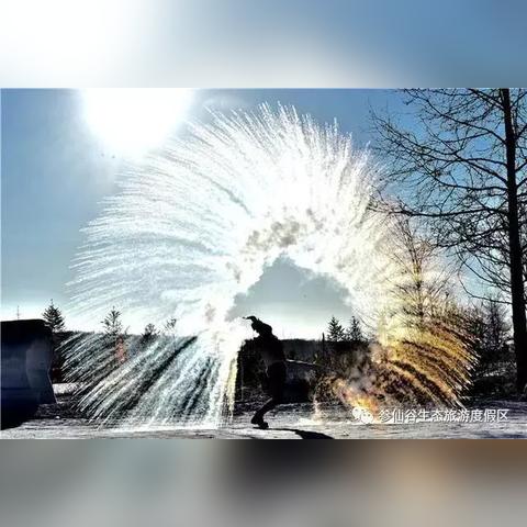 揭秘抚顺抖音月付套，是真的吗？真相大揭秘！