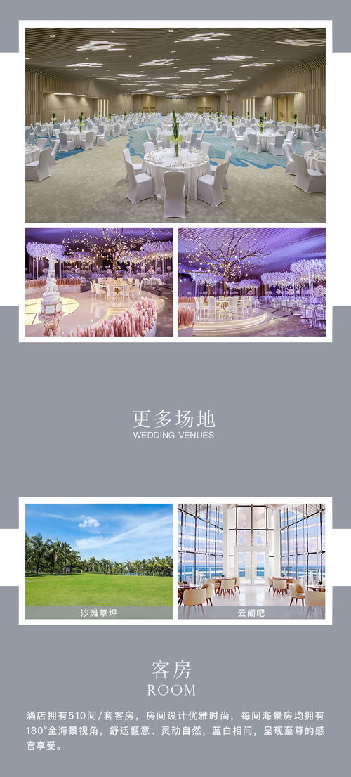 枫叶的户外品牌，探索自然与时尚的完美融合