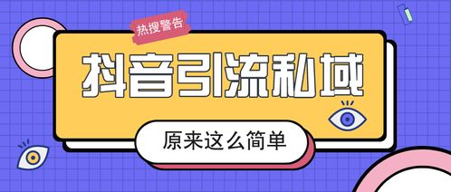 轻松办理抖音月付套现，揭秘操作攻略与案例分享