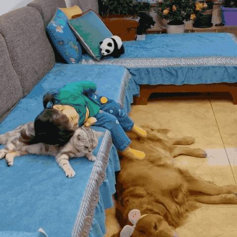 抖音月付提升额度后的提现攻略，轻松变现你的小金库！