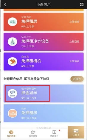轻松办理白条套现，揭秘小白条大用途！
