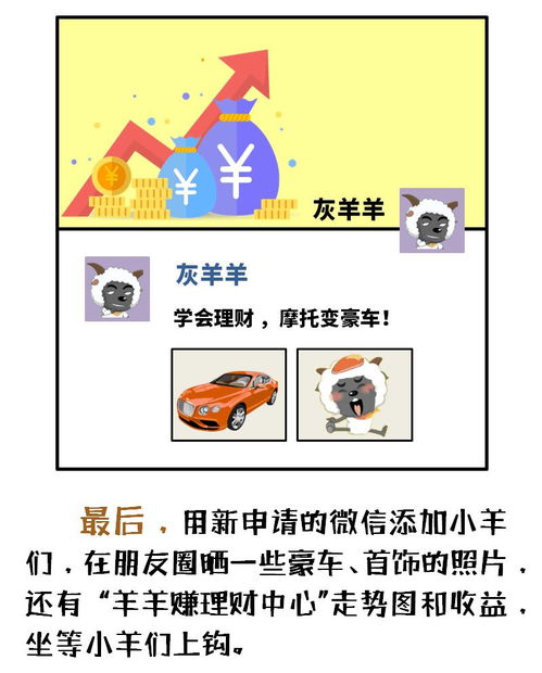 羊小咩便荔卡套，20个只需多少钱？揭秘优惠背后的秘密！