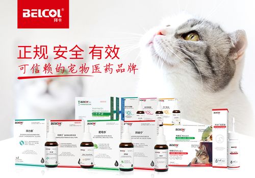 法国宠物医药品牌排行