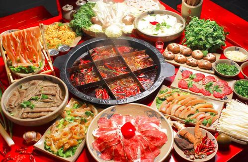 中国最大餐饮品牌—海底捞火锅