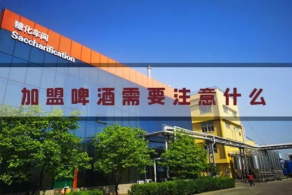 沧州啤酒连锁加盟报名全攻略，一步步教你如何成功报名加盟