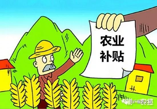 现在农业做什么项目好赚钱？看这几个热门方向准没错！