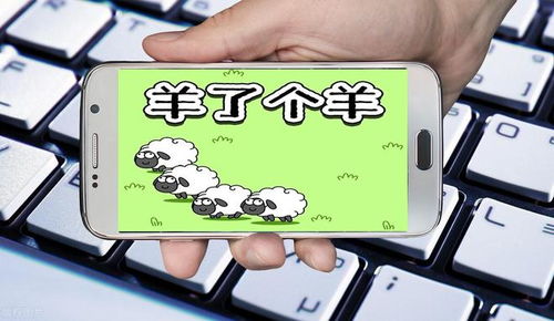 羊小咩便荔卡套出来1万，揭秘校园贷背后的风险与应对