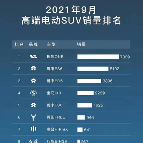 电动汽车的崛起，品牌与技术的双重优势