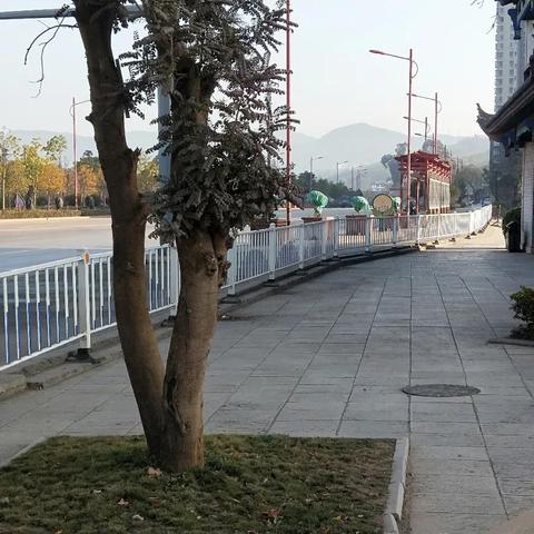 探索楚雄的餐饮宝藏，本地美食大盘点