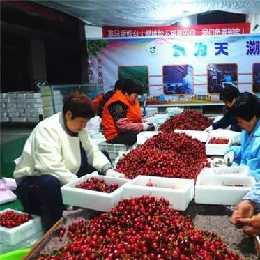 烟台家电包装箱品牌介绍