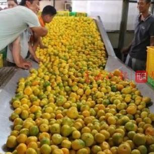 烟台家电包装箱品牌介绍