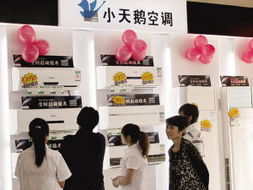 如何加盟小天鹅空调店铺—详细解读加盟流程与条件