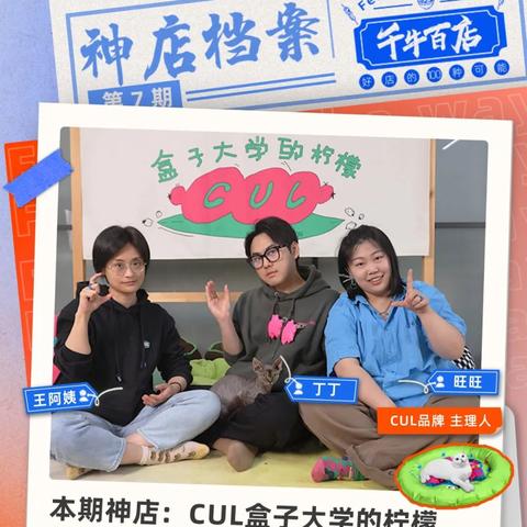 放弃小红书创业的理由有哪些？深度解析背后的因素