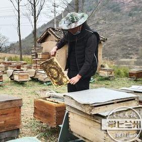回家乡做什么致富好呢？让我们来探讨一下