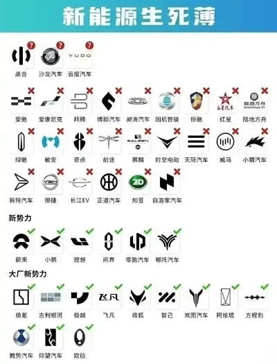 电动汽车品牌倒闭潮，行业洗牌背后的教训与启示