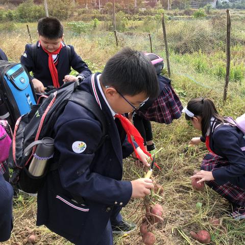 农村致富之路，挖掘本土资源，探索致富新途径
