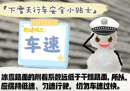 羊小咩便荔卡套出来闲鱼担保，揭秘闲鱼交易中的安全保障！