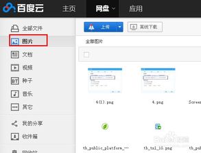 轻松搞懂版白条提现攻略，一键到账，告别繁琐！