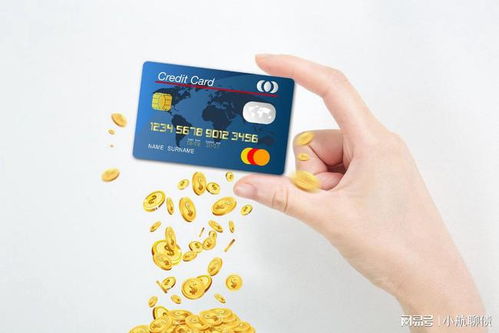羊小咩便荔卡套出来我爱卡—揭秘信用卡背后的故事