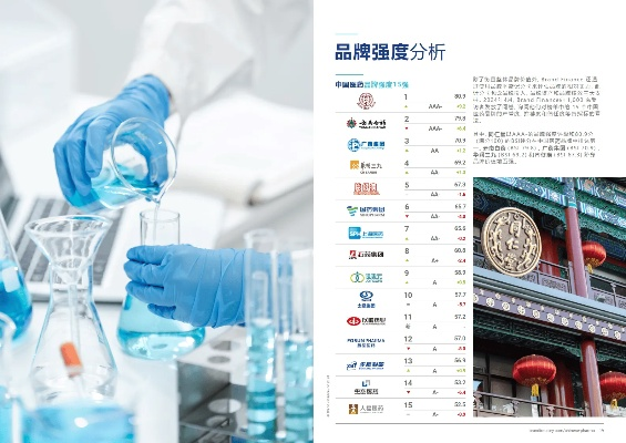 医药品牌标况分析—全面解析与案例解读