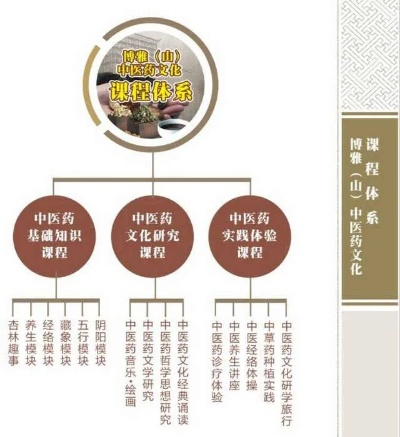中医药品牌建设之路