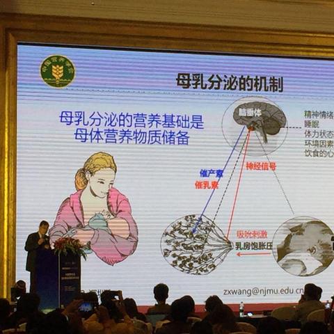 母乳喂养的母婴品牌