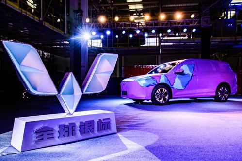 中国汽车品牌海外征途，从挑战到辉煌的历程
