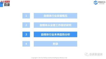 泰国自媒体行业最赚钱的领域与案例解析