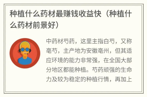 明年种什么药材能致富？看我一一解析