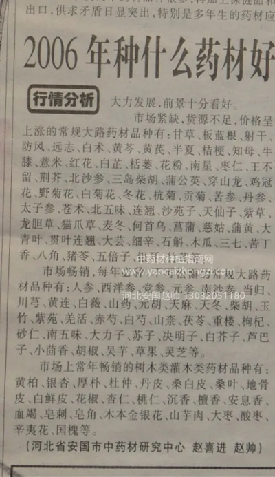 明年种什么药材能致富？看我一一解析