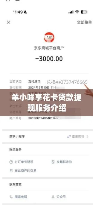 百度支付羊小咩享花卡提现攻略，轻松操作，快速到账！