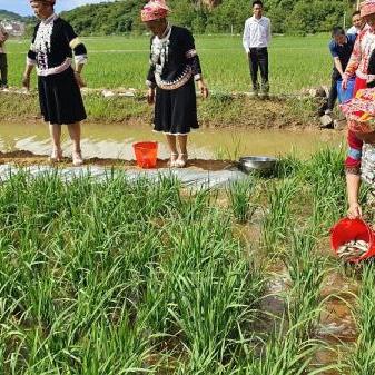 文山地区的致富之路介绍