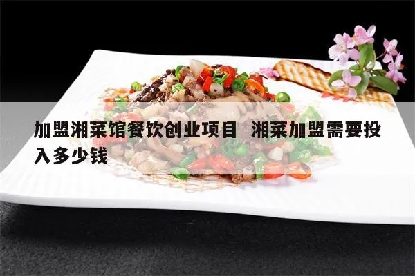 湖北餐饮品牌投资项目概述