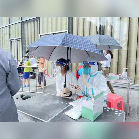 海南餐饮品牌投资项目概览