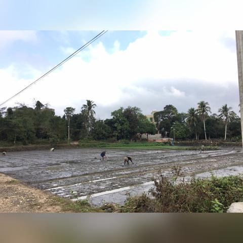 户外品牌狮子的探险之旅