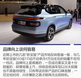 中国入股的汽车品牌概览