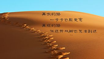 励志鼓励人创业的诗句与案例详解