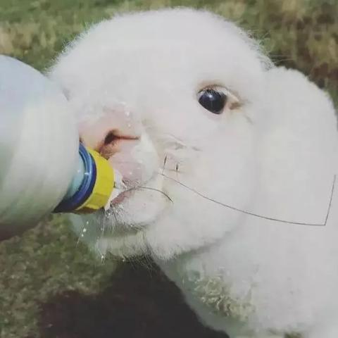 羊小咩便荔卡，你的移动钱包，轻松刷卡提现神器！