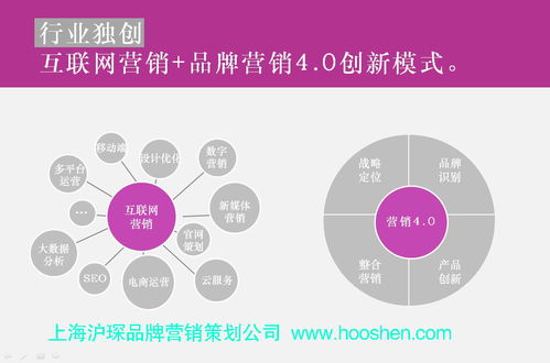 医药品牌策划流程详解